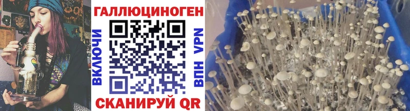 купить наркотики цена  Любань  Псилоцибиновые грибы прущие грибы 